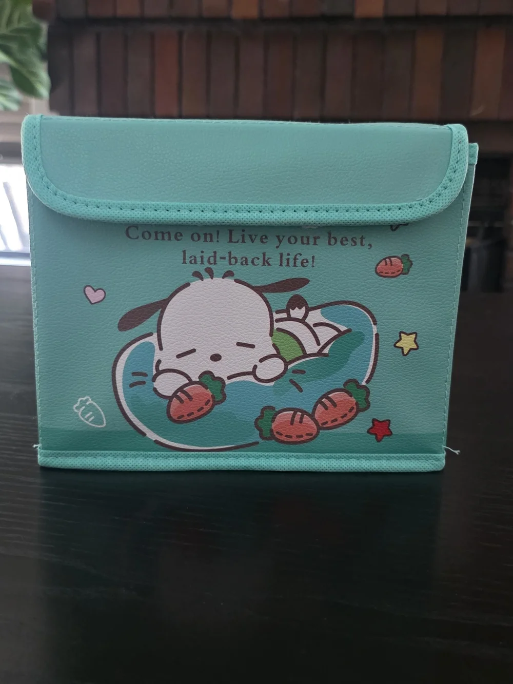 Sanrio Poccacho Storage Container
